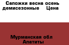 Сапожки весна-осень (демисезонные) › Цена ­ 300 - Мурманская обл., Апатиты г. Дети и материнство » Детская одежда и обувь   . Мурманская обл.,Апатиты г.